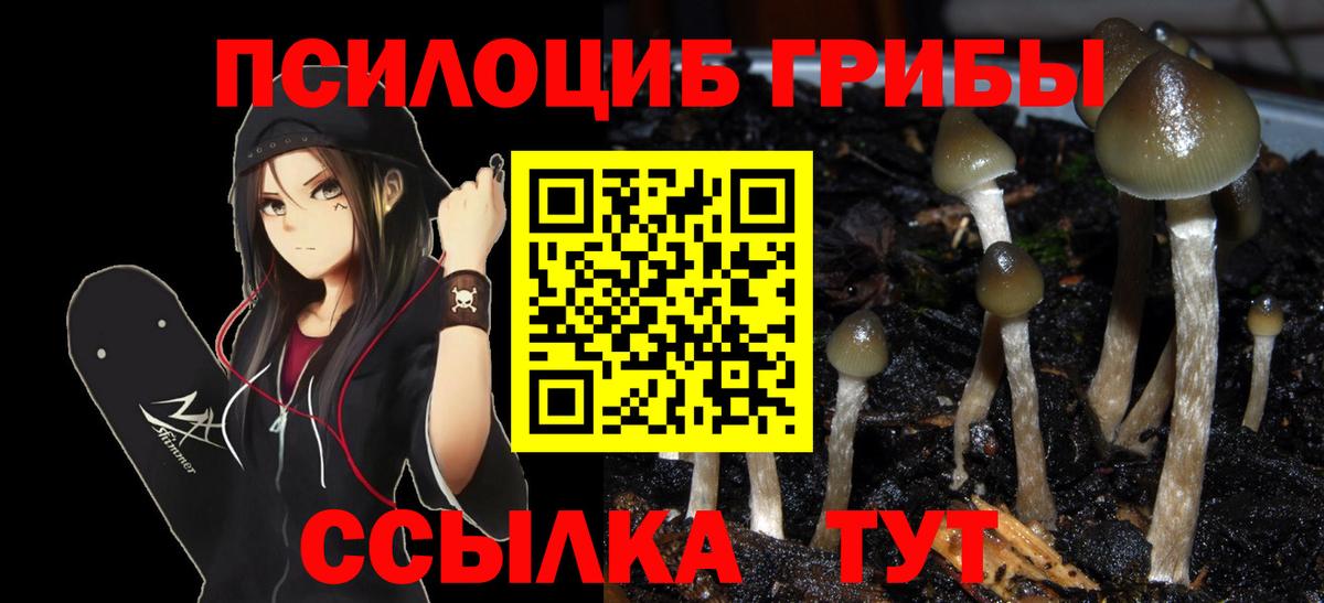 наркота  Галлюциногенные грибы мицелий  Вход с VPN  Глазов 